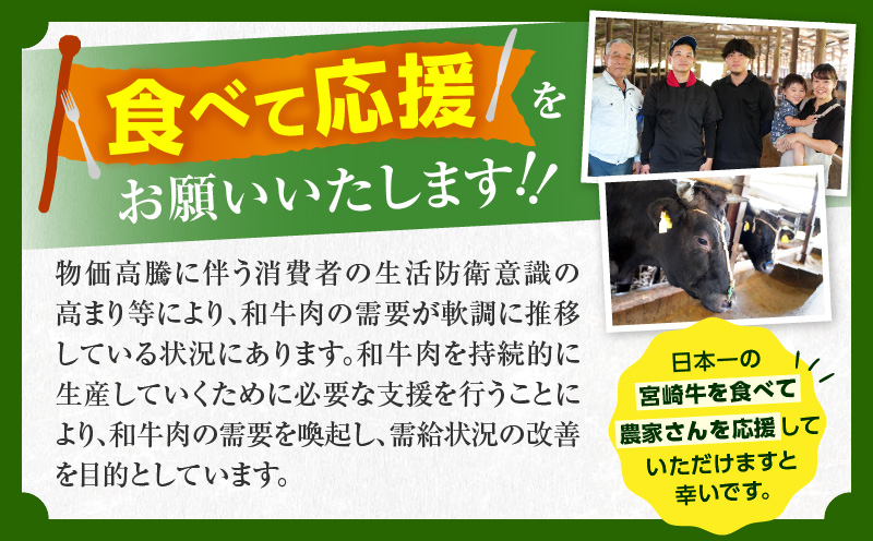 宮崎県日南市のふるさと納税 【最短2週間以内で発送】生産者応援 宮崎牛 ロースステーキ 2枚(計500g) 霜降り サーロイン リブロース 牛肉 黒毛和牛 ミヤチク 国産 焼肉 BBQ おかず 人気 おすすめ ギフト 贈り物 冷凍 宮崎県 日南市 送料無料_C119-24-2W