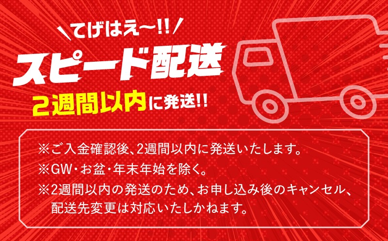 宮崎県日南市のふるさと納税 【最短2週間以内で発送】生産者応援 宮崎牛 ロースステーキ 2枚(計500g) 霜降り サーロイン リブロース 牛肉 黒毛和牛 ミヤチク 国産 焼肉 BBQ おかず 人気 おすすめ ギフト 贈り物 冷凍 宮崎県 日南市 送料無料_C119-24-2W