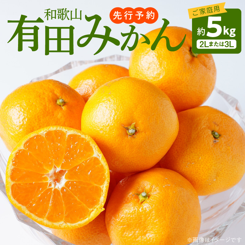 AT6300_【先行予約】【ご家庭用】和歌山有田みかん 約5kg (2L、3Lサイズいずれか)【湯浅町】