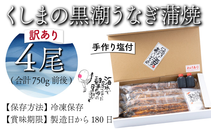 宮崎県串間市のふるさと納税 KU468-4【訳あり】くしまの黒潮うなぎ蒲焼４尾(合計750g前後)【大田商店】