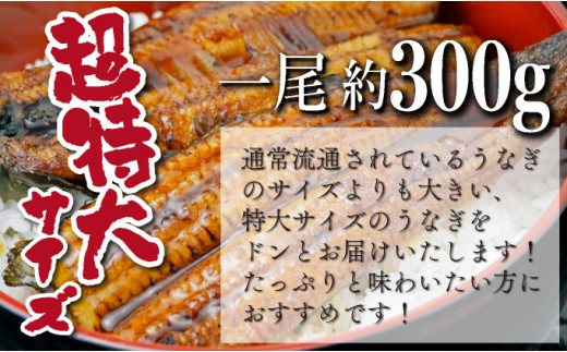 宮崎県串間市のふるさと納税 OTUCT-3【数量限定】超特大くしまの黒潮うなぎ蒲焼３尾(合計900g前後)【大田商店】