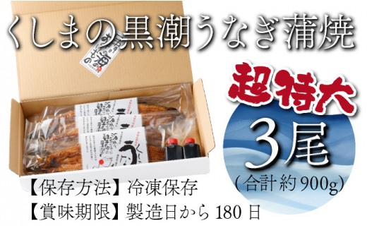 宮崎県串間市のふるさと納税 OTUCT-3【数量限定】超特大くしまの黒潮うなぎ蒲焼３尾(合計900g前後)【大田商店】