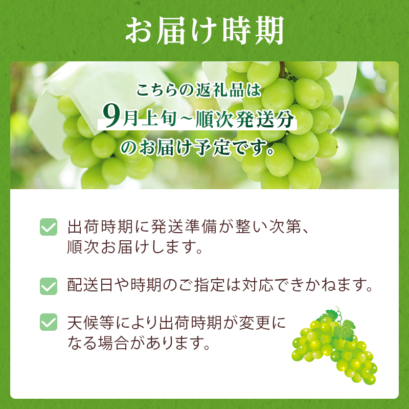 岡山県玉野市のふるさと納税 ぶどう 2025年 先行予約 ご家庭用 シャイン マスカット 約2kg 糖度抜群！ 【9月上旬～順次発送分】 ブドウ 葡萄  岡山県産 国産 フルーツ 果物