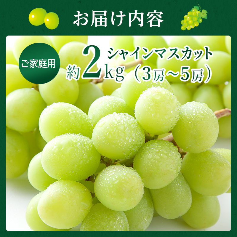 岡山県玉野市のふるさと納税 ぶどう 2025年 先行予約 ご家庭用 シャイン マスカット 約2kg 糖度抜群！ 【9月上旬～順次発送分】 ブドウ 葡萄  岡山県産 国産 フルーツ 果物