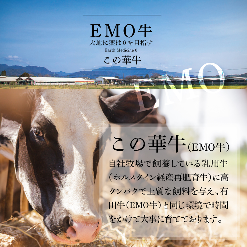 宮崎県木城町のふるさと納税 ＜有田牧場直送　この華牛切落したっぷり 800ｇ＞ K20_0002_3