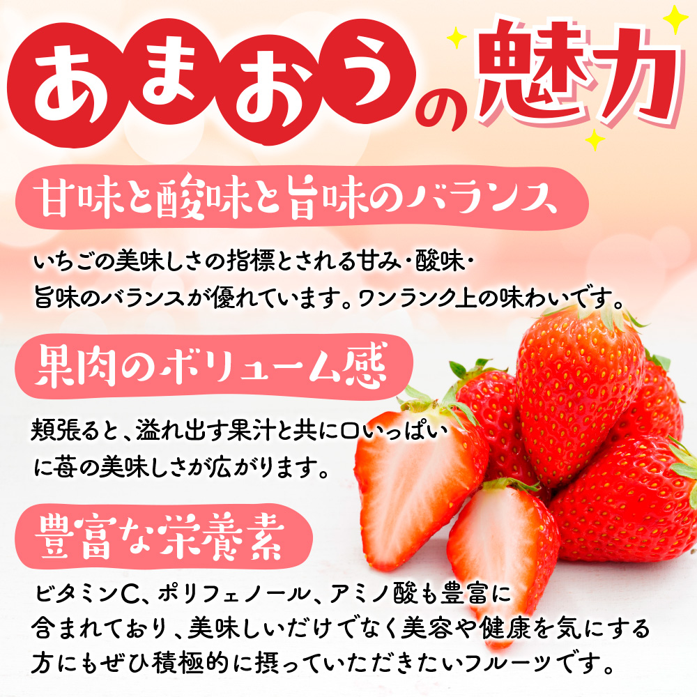 福岡県篠栗町のふるさと納税 MZ059 福岡県産 あまおう 1620g　先行予約 2025年1月～3月末にかけて順次発送予定