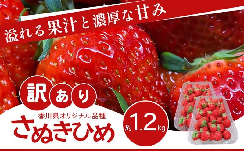 訳あり さぬきひめ 1.2kg 香川県産 苺 イチゴ フルーツ 果物 くだもの 旬のフルーツ 旬の果物 不揃い ジャム 加工 加工食品 訳アリ 香川 香川県 東かがわ市