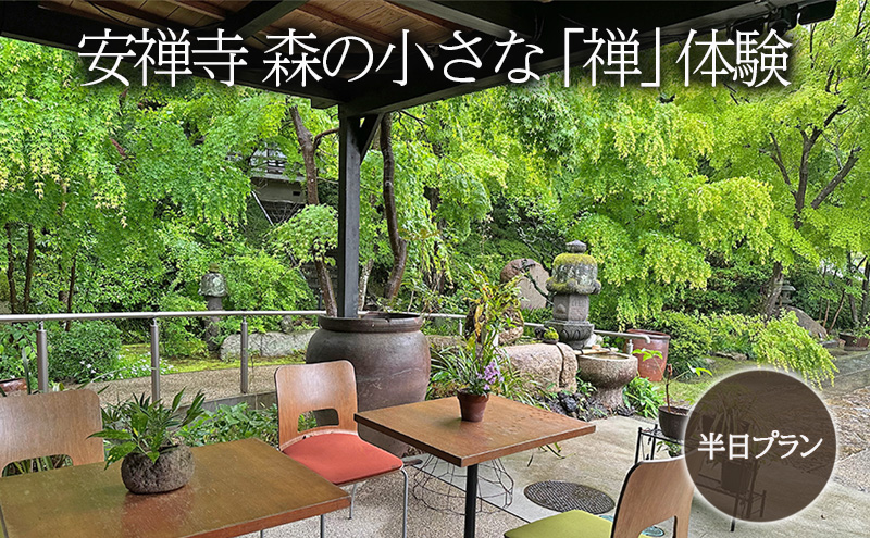 【岡山県赤磐市】体験チケット 森の小さな「禅」体験 坐禅 お茶席 写経 鍼灸 赤磐市 安禅寺