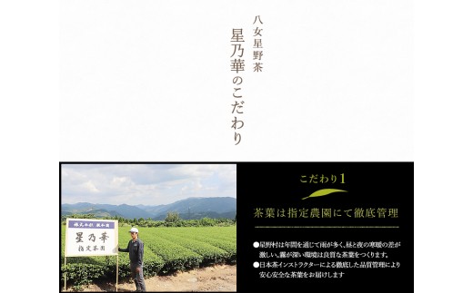 八女星野抹茶2缶【B3-022】 / 福岡県飯塚市 | セゾンのふるさと納税