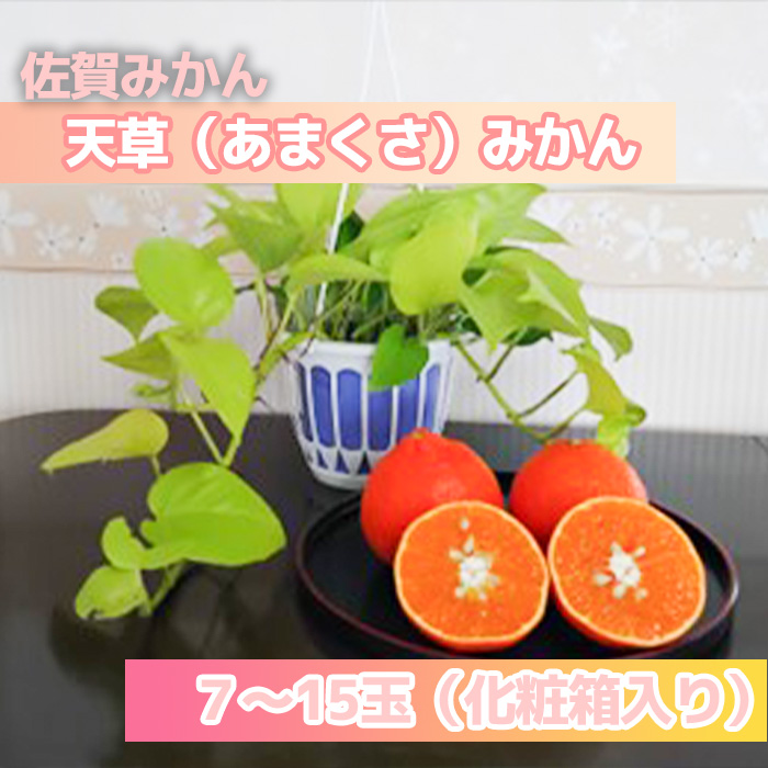 DV143_天草（あまくさ）みかん7～15玉　3kg（化粧箱入り）