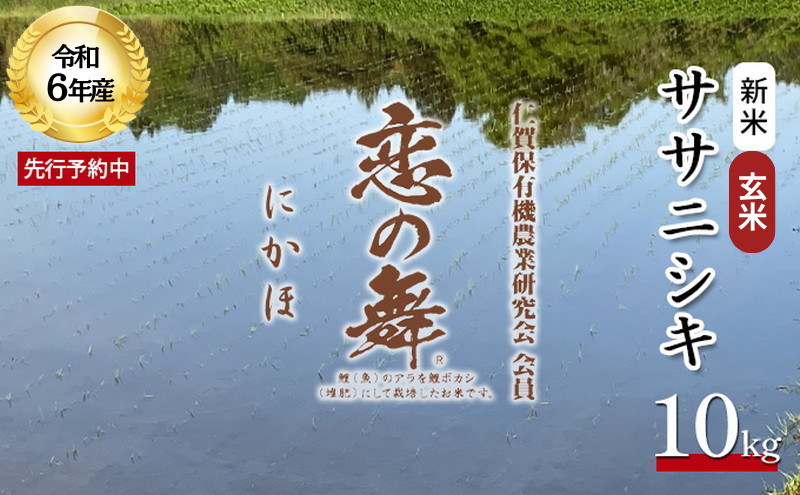 令和6年産 新米 11月から発送 特別栽培米 恋の舞 ササニシキ にかほ 玄米 10kg