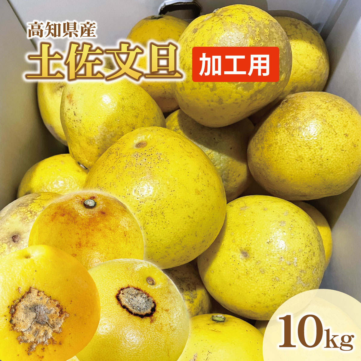 【加工用】土佐文旦(ぶんたん) Ｍ～５L混合 約10kg【土佐グルメ市場厳選】