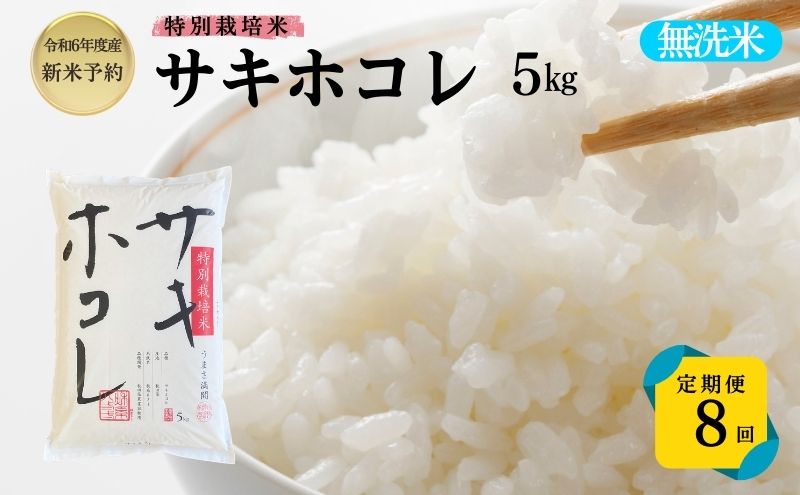 【令和6年産新米予約】<8ヵ月定期便>【無洗米】特別栽培米サキホコレ5kg×8回 合計40kg