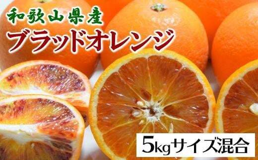 【希少・高級柑橘】国産濃厚ブラッドオレンジ「タロッコ種」約5kg ※2025年4月上旬～4月下旬頃に順次発送予定