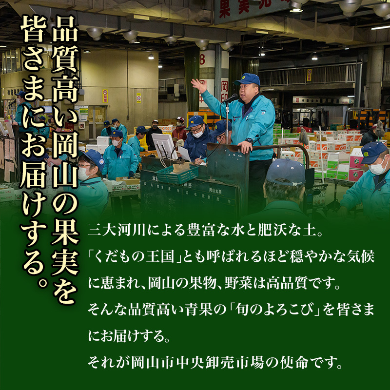 岡山県玉野市のふるさと納税 桃 ぶどう 梨 定期便 2025年 先行予約 晴れの国 岡山 の フルーツ 定期便 6回コース もも 葡萄 なし 岡山県産 国産 セット ギフト アレキサンドリ ニューピオーネ シャインマスカット 晴王 紫苑