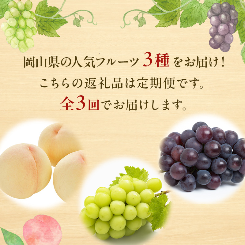 フルーツ 定期便 2025年 先行予約 フルーツ王国 岡山 厳選 果物 （7月 9月 10月）3回コース 桃 もも 葡萄 ぶどう 岡山県産 国産  セット ギフト|株式会社山博（中本青果）玉野市