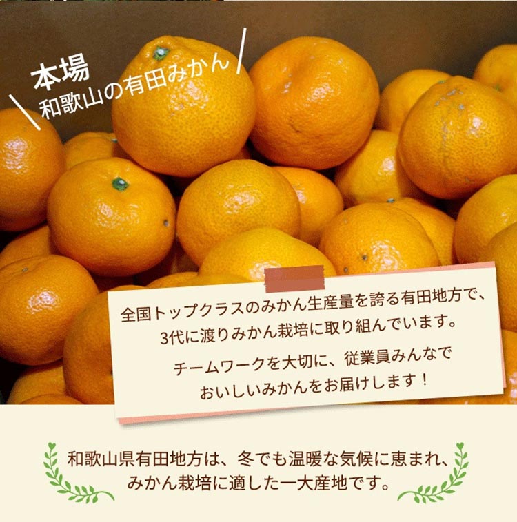 和歌山県美浜町のふるさと納税 ＼光センサー選別／こだわりの完熟有田みかん 5kg＋250g(傷み補償分)【ご家庭用】サイズ混合 有機質肥料100% ｜ みかん 有田みかん 温州みかん ミカン 温州ミカン 柑橘 温州 甘い コク 産地直送 ※2024年11月中旬～2025年1月上旬頃に順次発送予定 ※北海道・沖縄・離島への配送不可