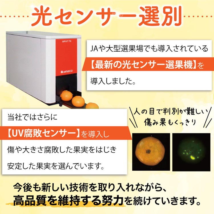 和歌山県美浜町のふるさと納税 ＼光センサー選別／こだわりの完熟有田みかん 5kg＋250g(傷み補償分)【ご家庭用】サイズ混合 有機質肥料100% ｜ みかん 有田みかん 温州みかん ミカン 温州ミカン 柑橘 温州 甘い コク 産地直送 ※2024年11月中旬～2025年1月上旬頃に順次発送予定 ※北海道・沖縄・離島への配送不可