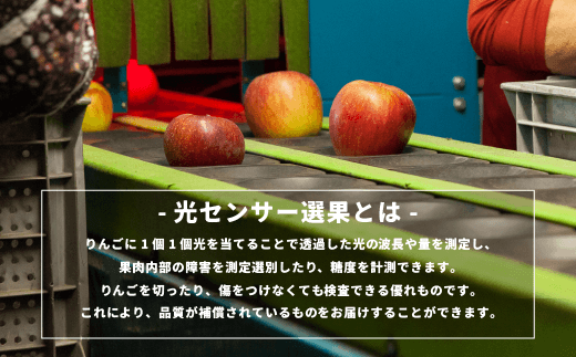 長野県飯綱町のふるさと納税 りんご サンふじ 訳あり2kg （5〜12玉） 光センサー選別品 ながの農業協同組合 沖縄県への配送不可 2025年12月中旬頃から2026年1月下旬頃まで順次発送予定 令和7年度収穫分 予約 長野県 飯綱町 [1869]