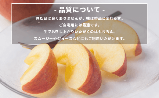 長野県飯綱町のふるさと納税 りんご サンふじ 訳あり2kg （5〜12玉） 光センサー選別品 ながの農業協同組合 沖縄県への配送不可 2025年12月中旬頃から2026年1月下旬頃まで順次発送予定 令和7年度収穫分 予約 長野県 飯綱町 [1869]