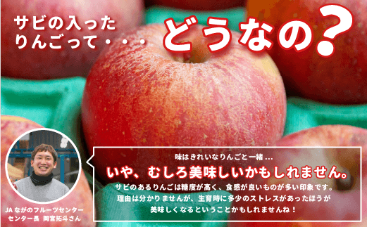 長野県飯綱町のふるさと納税 りんご サンふじ 訳あり2kg （5〜12玉） 光センサー選別品 ながの農業協同組合 沖縄県への配送不可 2025年12月中旬頃から2026年1月下旬頃まで順次発送予定 令和7年度収穫分 予約 長野県 飯綱町 [1869]