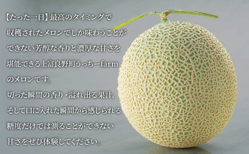 出産祝いなども豊富 緑肉＆赤肉】マスクメロン2玉箱入り3kg以上