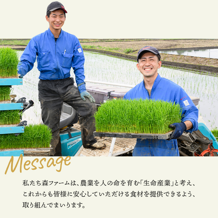 スプリングライス ミルキークィーン (玄米) 30kg (15kg×2個) ※着 スプリングライス ミルキークィーン (玄米) 30kg (15kg×2個) ※着