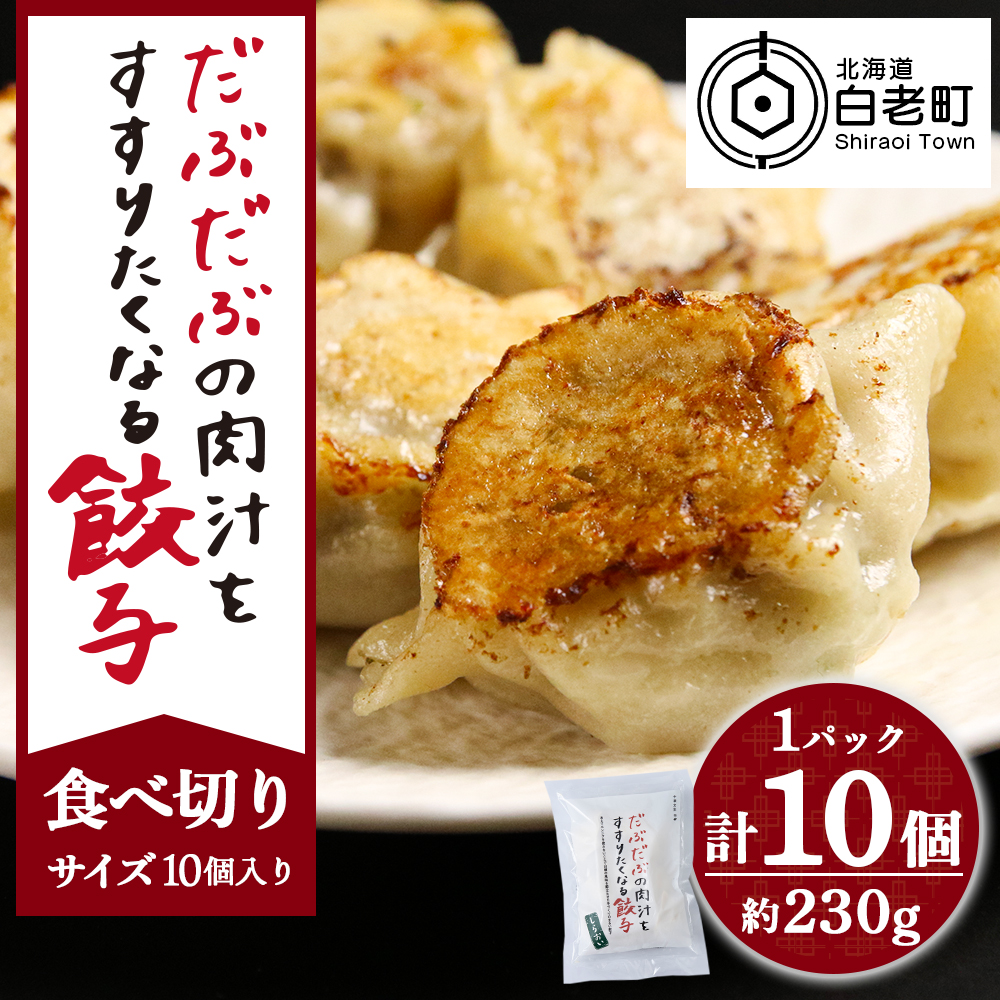 だぶだぶの肉汁をすすりたくなる餃子 10個(10個入×1パック)