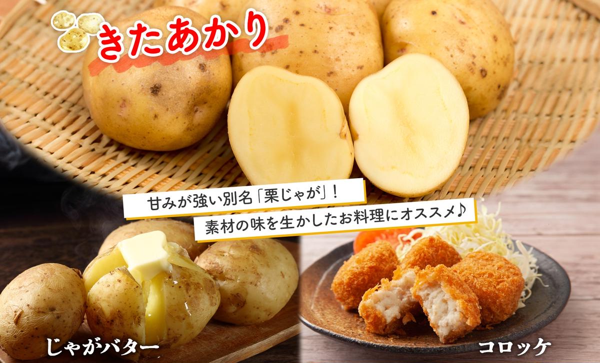 ハヤトウリ20キロ 富士山麓産 ハヤトウリ20キロ 富士山麓産