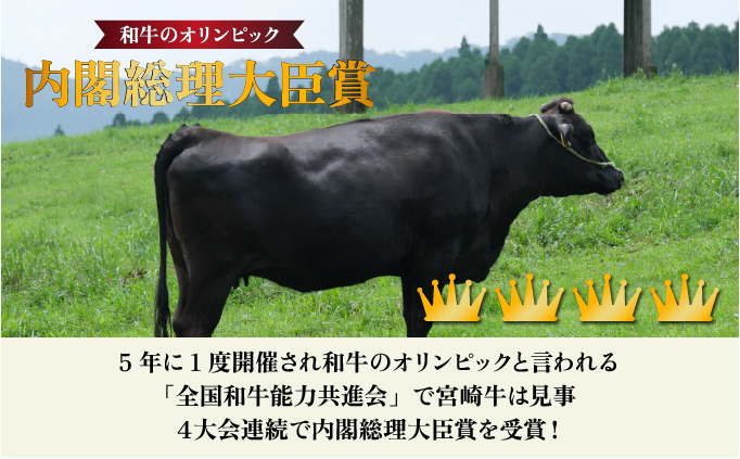 宮崎県串間市のふるさと納税 KU206 ＜冷蔵・真空包装＞希少部位！A4等級以上！宮崎牛ヒレステーキ(約120g)【スーパーほりぐち】