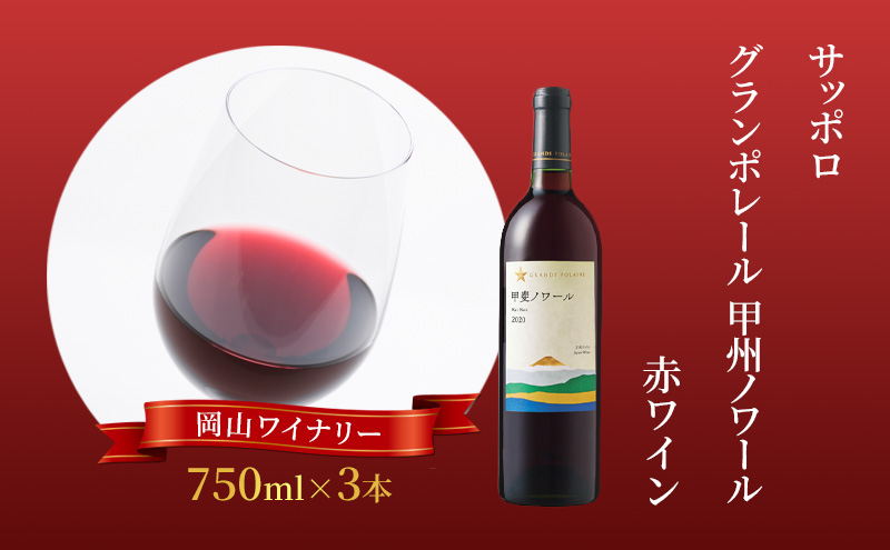 【岡山県赤磐市】ワイン サッポロ グランポレール 甲斐 ノワール 赤ワイン 750ml 3本 セット 岡山 ワイナリー ぶどう お酒 酒 アルコール