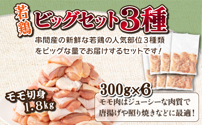 宮崎県串間市のふるさと納税 TRT08 若鶏 4kgビッグセット