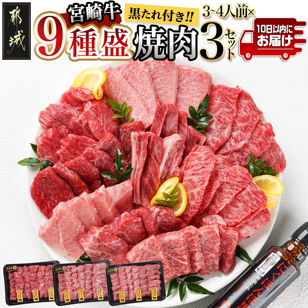 [数量限定]宮崎牛9種盛り焼肉セット(各600g×3P)≪みやこんじょ特急便≫