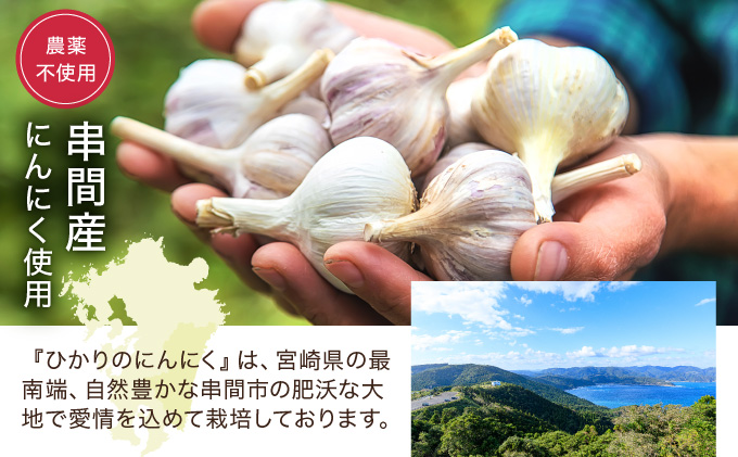 HKNID ひかりのにんにくチップ360gセット（15g×12袋・60g×3袋