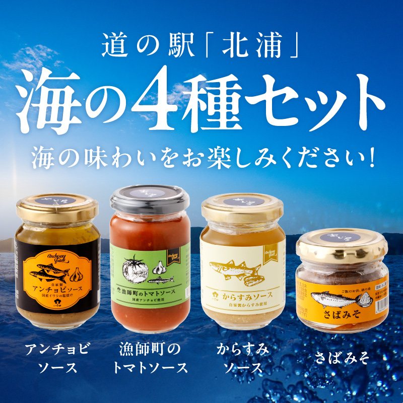 アンチョビ様 リクエスト 10点 まとめ商品　ウラシク 北浦「海の4種セット」 N008-YA593 / 宮崎県延岡市 | セゾンの