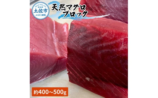 【高知県土佐市】天然マグロ ブロック 約450〜550g 4〜6人前 まぐろ 鮪 魚 さかな 海鮮 魚介 海の幸 赤身 お刺身 海鮮丼 お寿司 おかず おつまみ 惣菜 食品 天然 国産