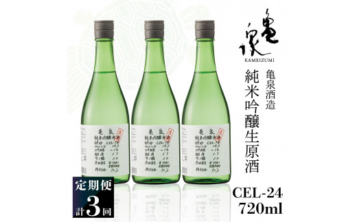 純米吟醸生原酒 CEL-24 720ml 生酒 毎月1本×3回 定期便 お酒 酒 さけ 日本酒 アルコール 生原酒 14度 14% 甘口 フルーティ 食中酒 地酒 亀泉酒造 おいしい 飲みやすい