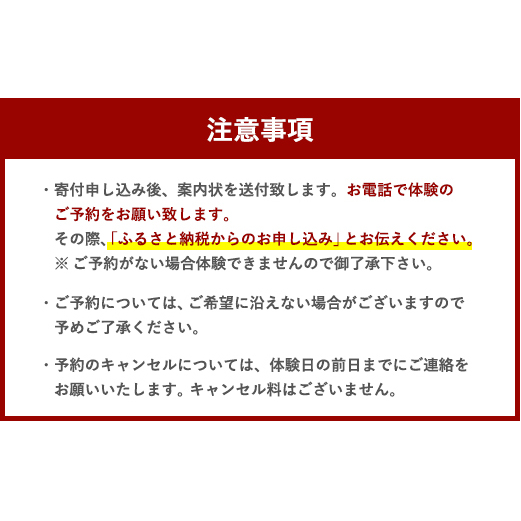 ウェイクサーフィン 15分 体験 アクティビティ スポーツ 体験チケット 宮崎県美郷町 Jre Mallふるさと納税