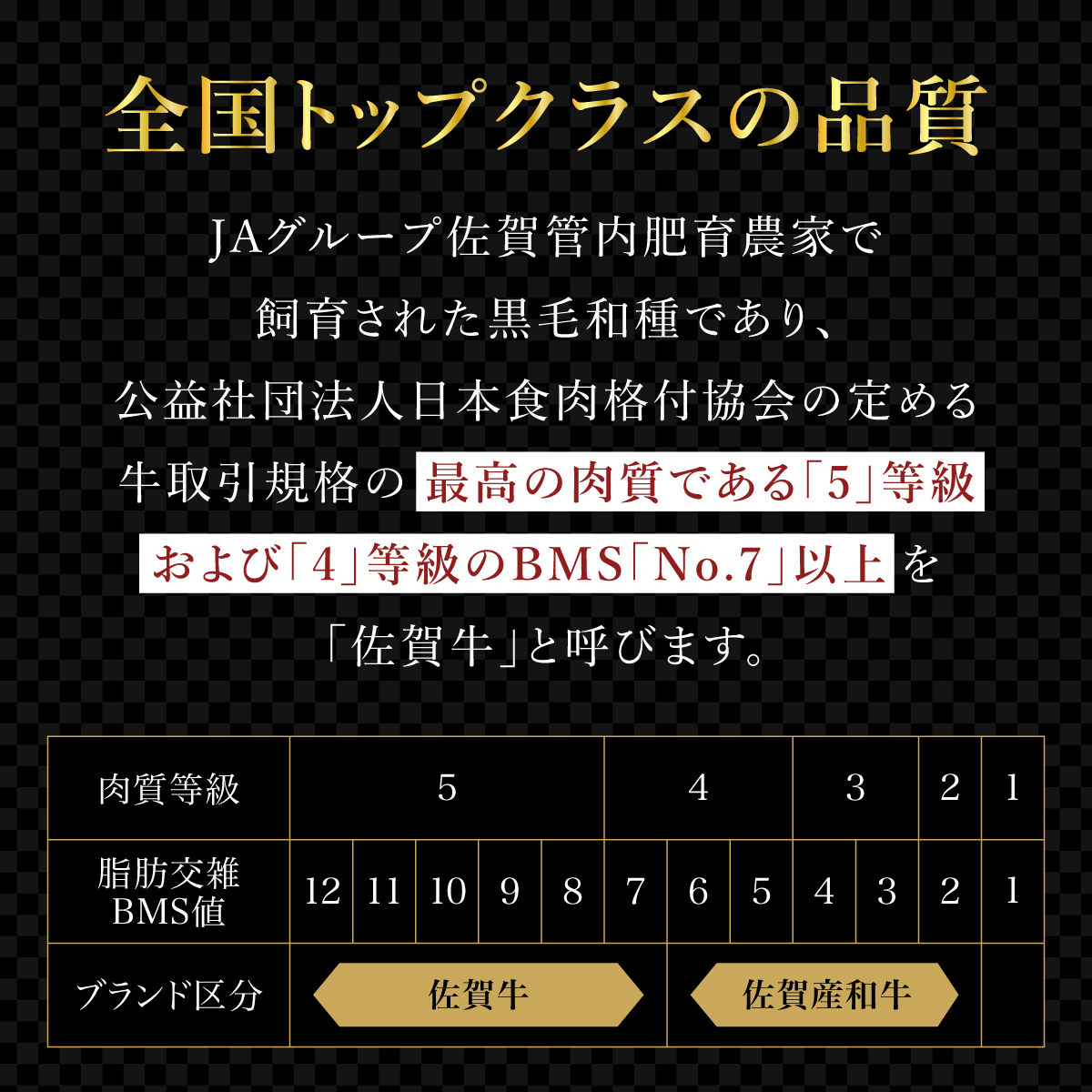 佐賀県大町町のふるさと納税 ブランド銘柄「佐賀牛」ヒレステーキ 計1,080g (180g×6枚)