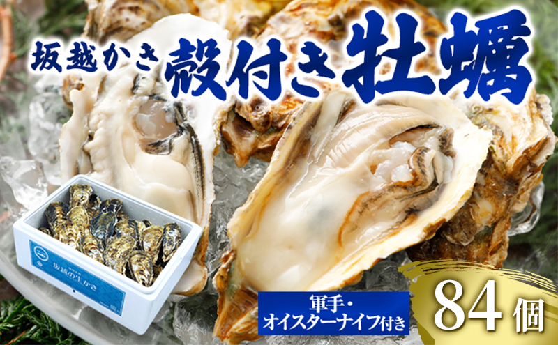 OYSTER38 ～「サムライオイスター」をふんだんに使った国産 オイスターソース ～ 2本 |  【公式】兵庫県赤穂市ふるさとづくり寄付金直営サイト「ふるあこ」