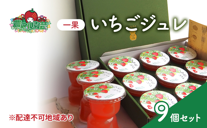 【岡山県赤磐市】フルーツジュレ 一果 いちご 9個 セット フルーツ 紅ほっぺ 農マル園芸 あかいわ農園 岡山
