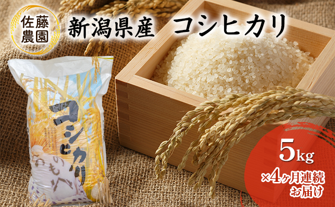 【新米先行予約受付開始】新潟県産　コシヒカリ【佐藤農園】5kg×4ヶ月連続お届け|佐藤農園