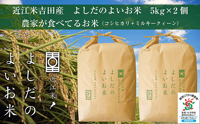 滋賀県豊郷町　セゾンのふるさと納税　令和5年度新米】令和5年産新米　近江米農家が食べてるお米　よしだのよいお米　5kg×2