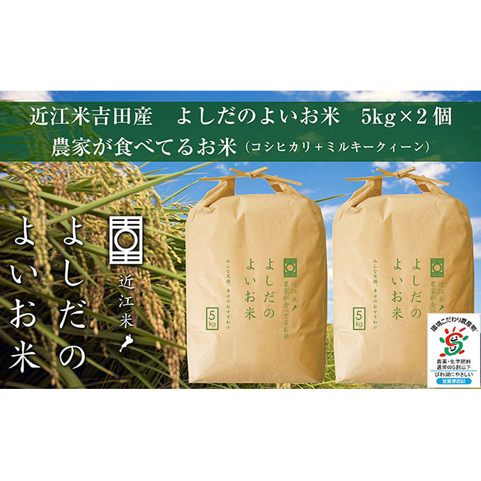 [お米]滋賀県産コシヒカリ(令和5年産・新米‼️)15kg