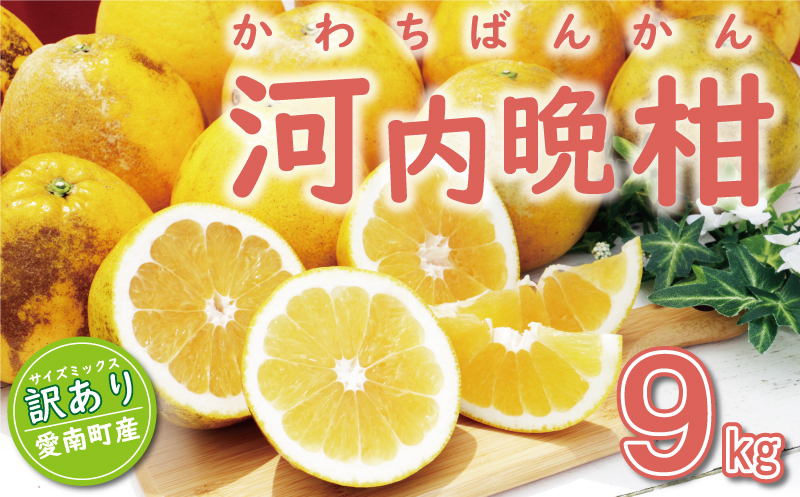 訳あり 河内晩柑 9kg （ サイズミックス ） 7000円 みかん かわちばんかん 愛南ゴールド あいなん ゴールド 美生柑 文旦 グレープフルーツ 和製 家庭用 産地直送 国産 農家直送 糖度 果樹園 期間限定 数量限定 ビタミン 特産品 ゼリー ジュース 人気 限定 さわやか 甘い フルーツ 果物 柑橘 蜜柑 規格外 愛南町 愛媛県 ミッチーのおみかん畑