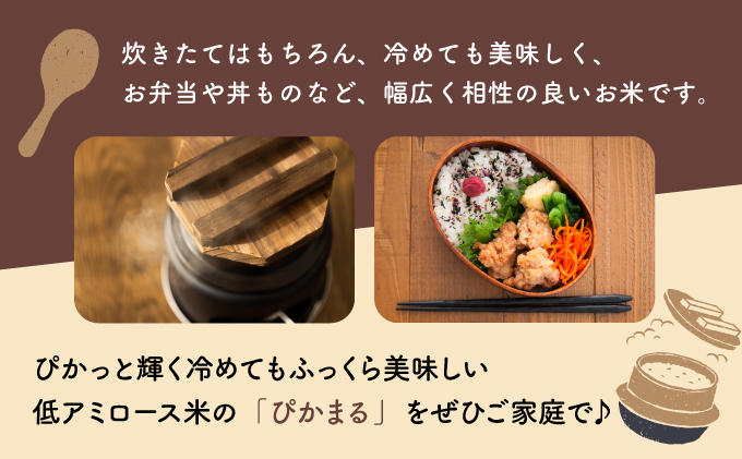 KU156_nR6【定期便・全2回】 令和6年産「超早場米」ぴかまる 計