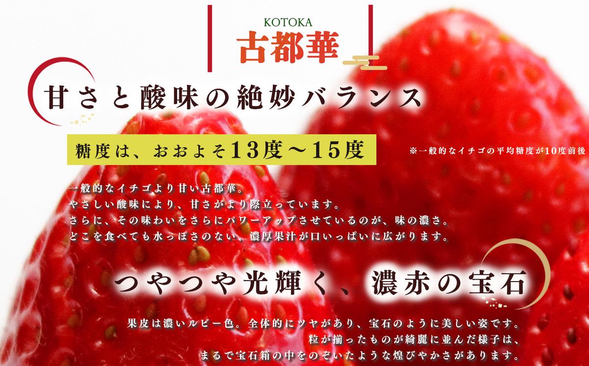 奈良県平群町のふるさと納税 【定期便2回】いちご 平群の古都華 2L ～ 3L サイズ （2パック×2回）計4パック 扇田農園