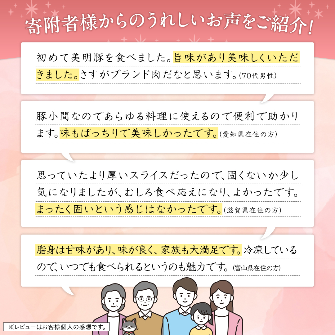 茨城県桜川市のふるさと納税 【3ヵ月 定期便】 美明豚 小間切れ 1kg×3回 合計3kg (茨城県共通返礼品 行方市) 国産 豚肉 冷凍 小分け こま切れ 切り落とし 豚 ぶた 肉 ポーク ブランド豚[CV016sa]