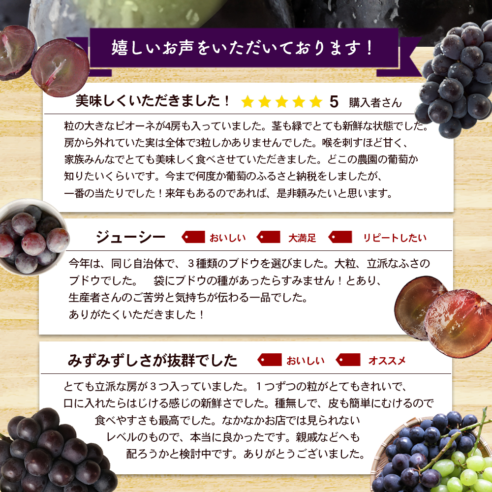 ハウスピオーネ 大房 2房 1.2kg 化粧箱 黒い真珠 ピオーネ 葡萄 ハウスピオーネ 大房 2房 1.2kg 化粧箱 黒い真珠 ピオーネ 葡萄