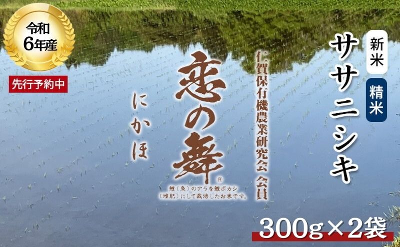 令和6年産 新米 11月から発送 特別栽培米 恋の舞 ササニシキ 2合×2袋（300g×2袋 小分け 精米）